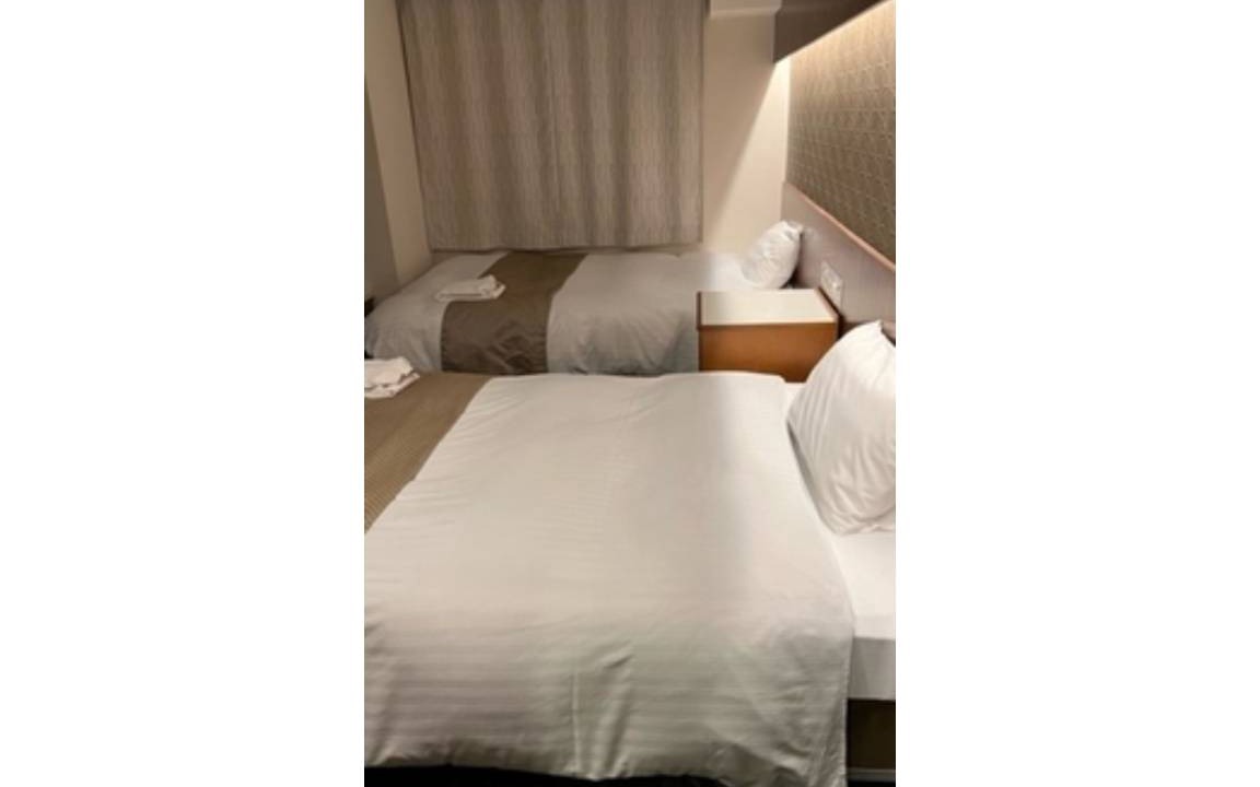 Machida Hotel | 16 m² Hotel ∙ 1 bedroom ∙ 2 guests