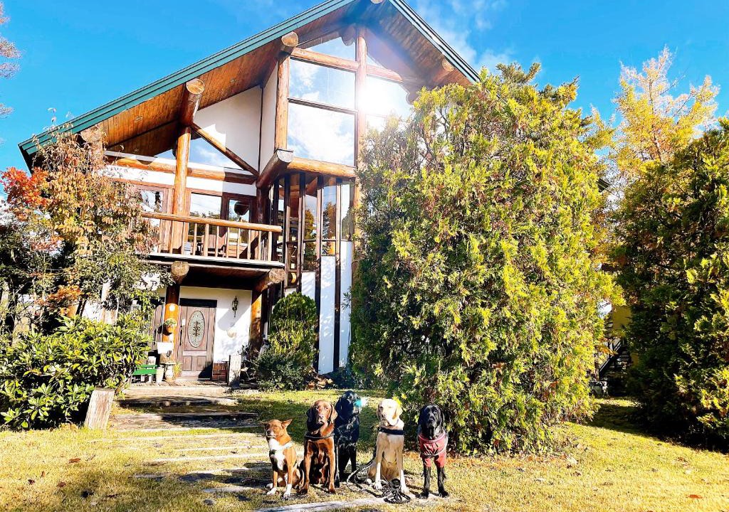 Hakuba Hotel | Hakuba Log Hotel Meteor