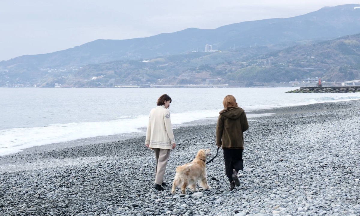 Odawara House | Inu to Umibe