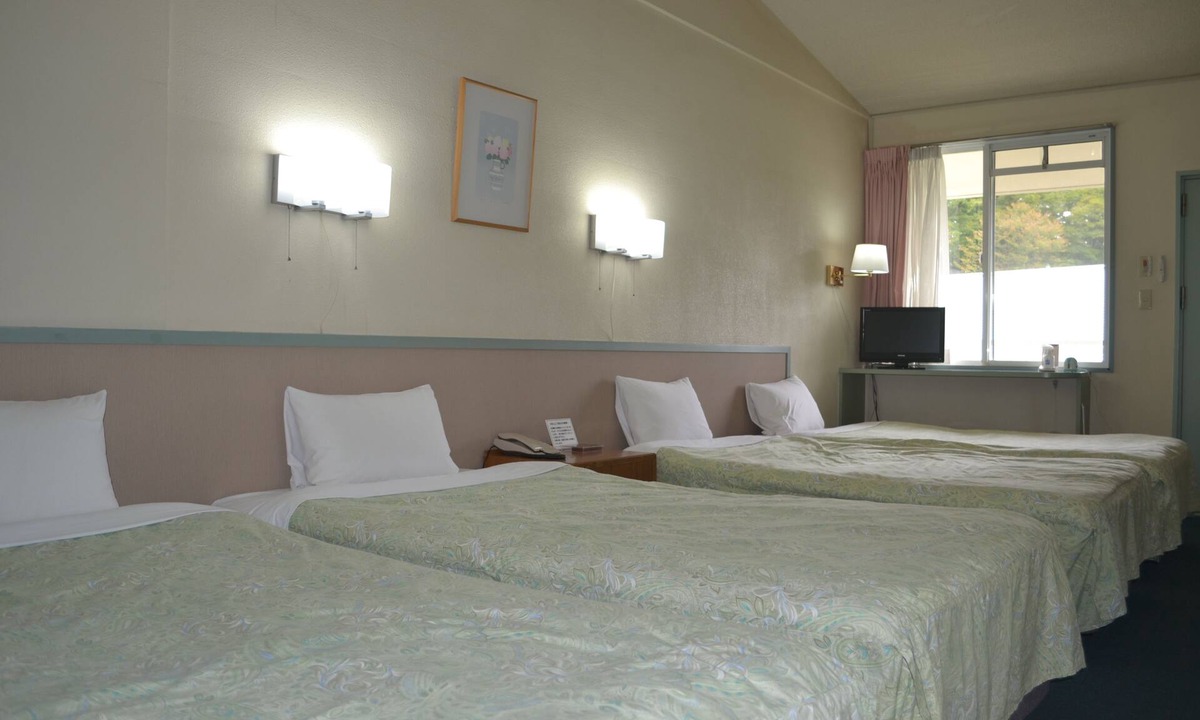Kitasaku-gun Hotel | Karuizawa Hotel PAIPU NO KEMURI