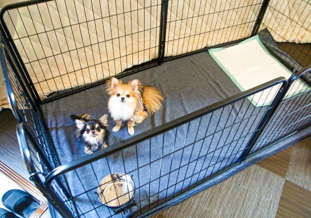 Eiheiji-cho Hotel | Lupo Forest "GRAN FOREST Echizen Miyama" - Vacation STAY 07123v