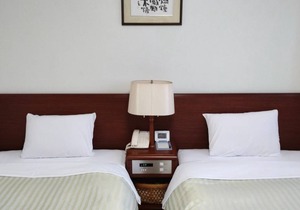 20 m² Hotel ∙ 1 bedroom ∙ 2 guests