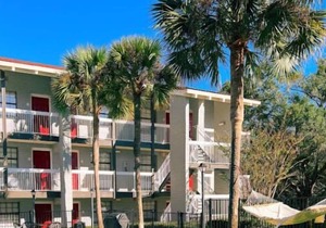 Explore Local Museums! 2 Classy Units, Pool, Near Museum of Florida History in Tallahassee
