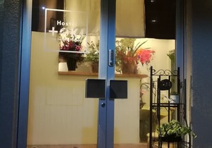Hostel Toki