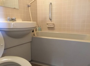 Hotel Matsumoto | Shirakabako