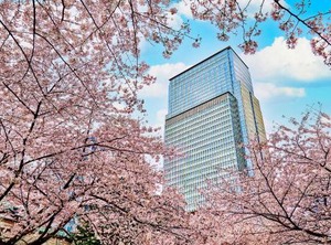 Nestay Inn Tokyo Otsuka | Nihonbashimuromachi