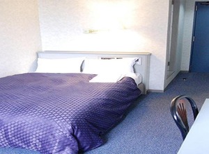 Seagrande Shimizu Station Hotel Stay | Shimizu Ward