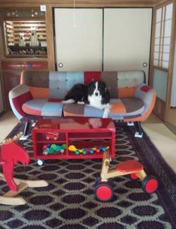 Tabuchi Villa | ちびっこ・わんこ・リゾート Ｓａｒａｒｉ （里楽里）