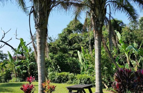 Yakushima Bed & Breakfast | 100 m² Bed and breakfast ∙ 9 guests