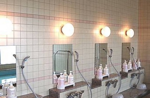 Ryuga Onsen Hotel | 12 m² Hotel ∙ 1 bedroom ∙ 1 guest