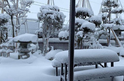 Imizu Bed & Breakfast | 13 m² Bed and breakfast ∙ 4 guests