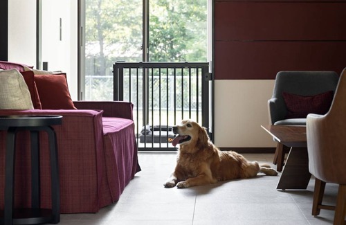 Oyama Hotel | 143 m² Hotel ∙ 1 bedroom ∙ 4 guests