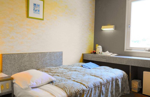 Tsushima Hotel | 16 m² Hotel ∙ 1 bedroom ∙ 1 guest