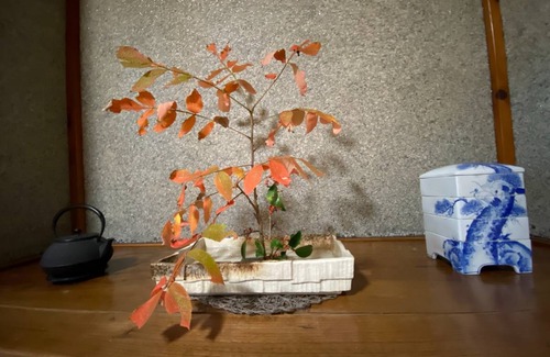 Kakegawa House | 165 m² House ∙ 2 bedrooms ∙ 6 guests