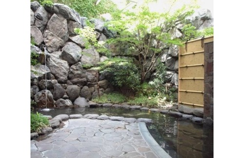 Yudaonsen Hotel | 17 m² Hotel ∙ 1 bedroom ∙ 5 guests