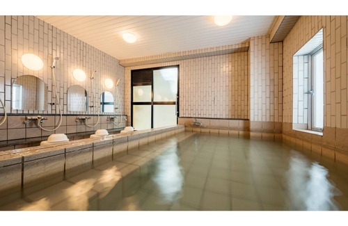 Kitakami Hotel | 17 m² Hotel ∙ 1 bedroom ∙ 2 guests