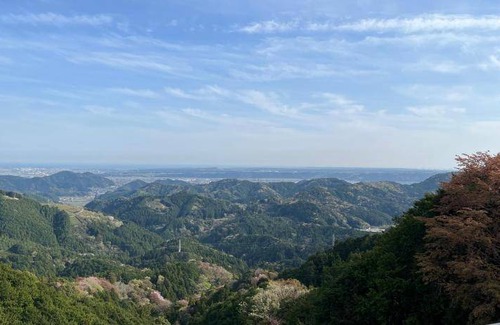 Shimada Bed & Breakfast | 20 m² Bed and breakfast ∙ 11 guests