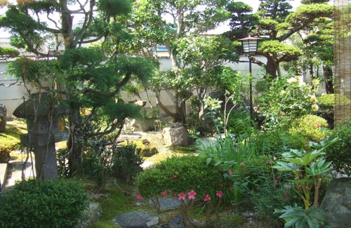 Maizuru Hotel | 20 m² Hotel ∙ 1 bedroom ∙ 2 guests