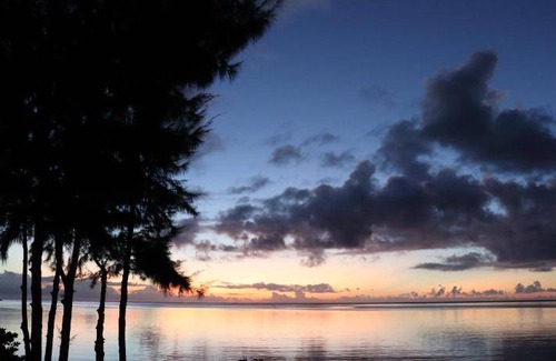 Iriomote-jima Taketomi-cho Hotel | 20 m² Hotel ∙ 127 guests