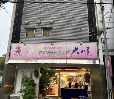 Ryuga Onsen Bed & Breakfast | 22 m² Bed and breakfast ∙ 1 guest