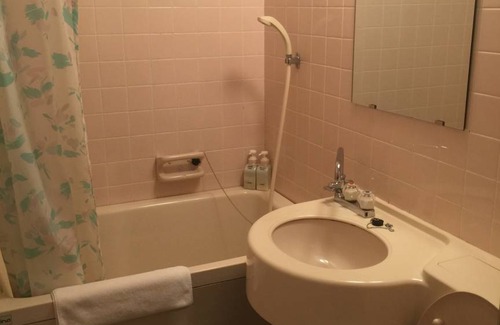Shirakabako Hotel | 22 m² Hotel ∙ 1 bedroom ∙ 3 guests