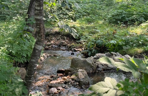 Shimizu Other | 40 m² Camping ∙ 1 bedroom ∙ 8 guests