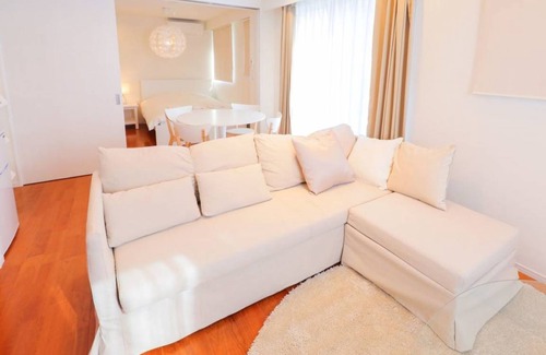 Aoyama Apartment | 42 m² Apartment ∙ 1 bedroom ∙ 3 guests
