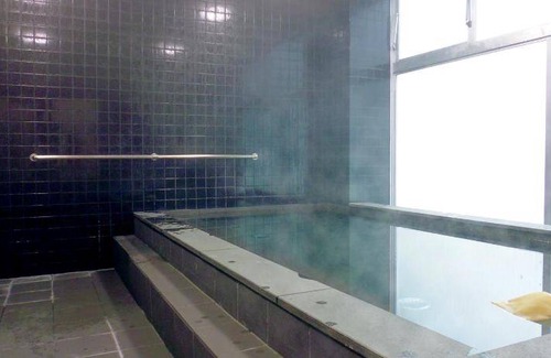 Miyoshi Hotel | 16 m² Hotel ∙ 99 guests