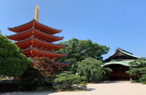 Hakata-ku Hotel | Trip Pod Chiyo A
