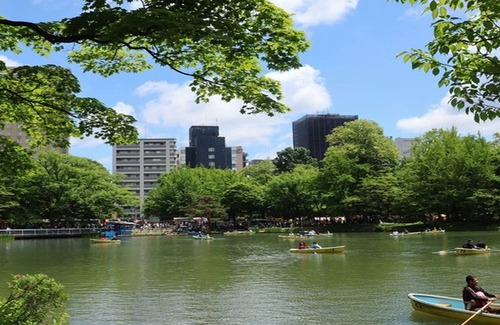 Chuo-ku Apartment | UCHI Living stay NAKAJIMA park