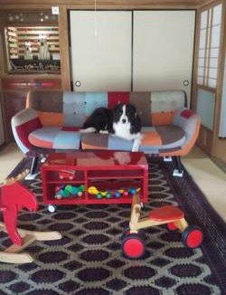 Tabuchi Villa | ちびっこ・わんこ・リゾート Ｓａｒａｒｉ （里楽里）