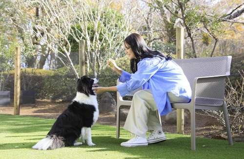 Atami Hotel | ゆるり熱海withDOGS