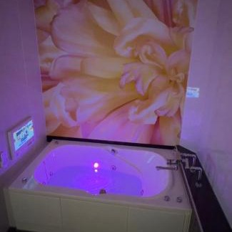 Shiroishi Hotel | ホテルパルシス大人専用