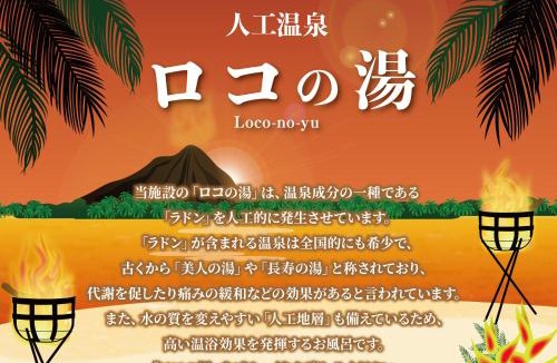 Toyoyama Hotel | ホテル ロコガーデン 小牧