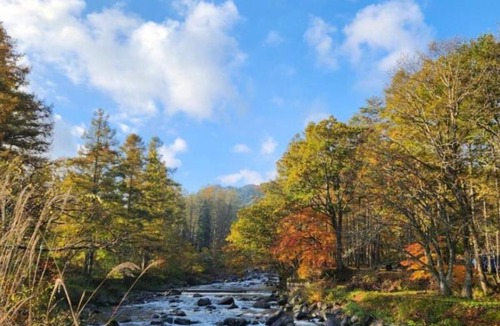 Hakusan National Park House | 一色の森プライベートサウナからまつ山荘 Shirakawago Takayama Issiki forest