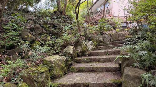 Yawatano Villa | 伊豆高原貸别莊恩赐城ヶ崎