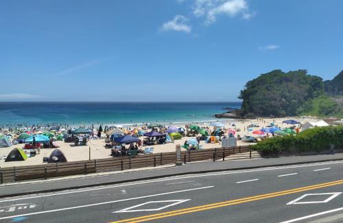 Shirahama House | 伊豆 白浜 ゲストハウス茉心