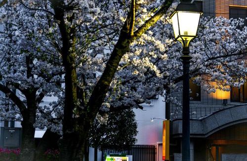 Matsuyama House | 媛楽園Himerakuen