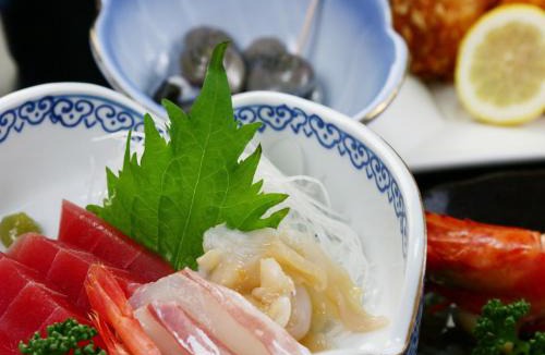 Makinohara Bed & Breakfast | 民宿東海