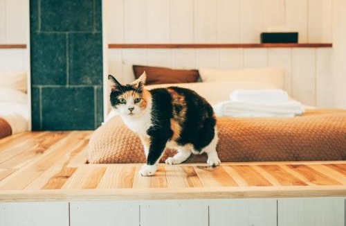 Kahoku House | 民泊やまねこ