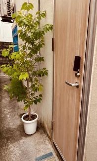 Urasoe Bed & Breakfast | 浦添民泊ejuイージュ