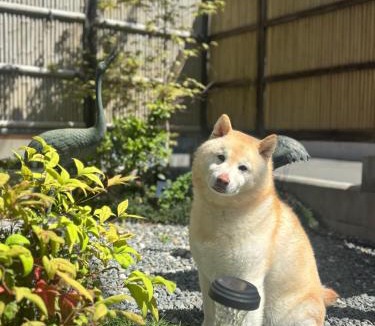 Tsuruhashi Villa | 福助豆腐5mins walk to JRLoop Tsuruhashi 5mins to Nipponbashi Namba USJ Nara Direct