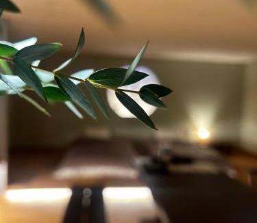 Tanabe Bed & Breakfast | 蘇生の宿Samsara Inn - 1日1組の特別な宿 -