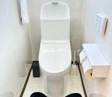 Takasaki Villa | 高崎にある昭和の趣を残して改築した平屋
