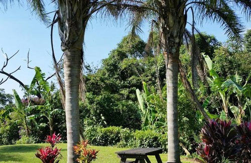 Yakushima Bed & Breakfast | 100 m² Bed and breakfast ∙ 9 guests