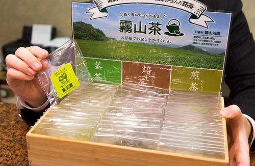 Ryuga Onsen Hotel | 12 m² Hotel ∙ 1 bedroom ∙ 1 guest