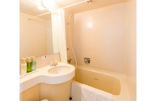 Hanahasu Onsen Hotel | 14 m² Hotel ∙ 1 bedroom ∙ 1 guest