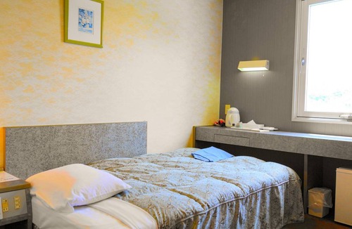 Tsushima Hotel | 16 m² Hotel ∙ 1 bedroom ∙ 1 guest