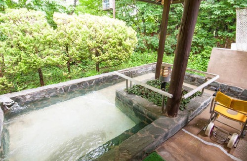 Nasu Hotel | 16 m² Hotel ∙ 1 bedroom ∙ 2 guests