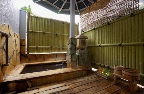 Kirishima Hotel | 17 m² Hotel ∙ 1 bedroom ∙ 2 guests